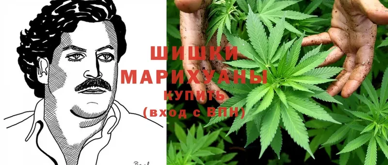 купить закладку  Белебей  Шишки марихуана индика 